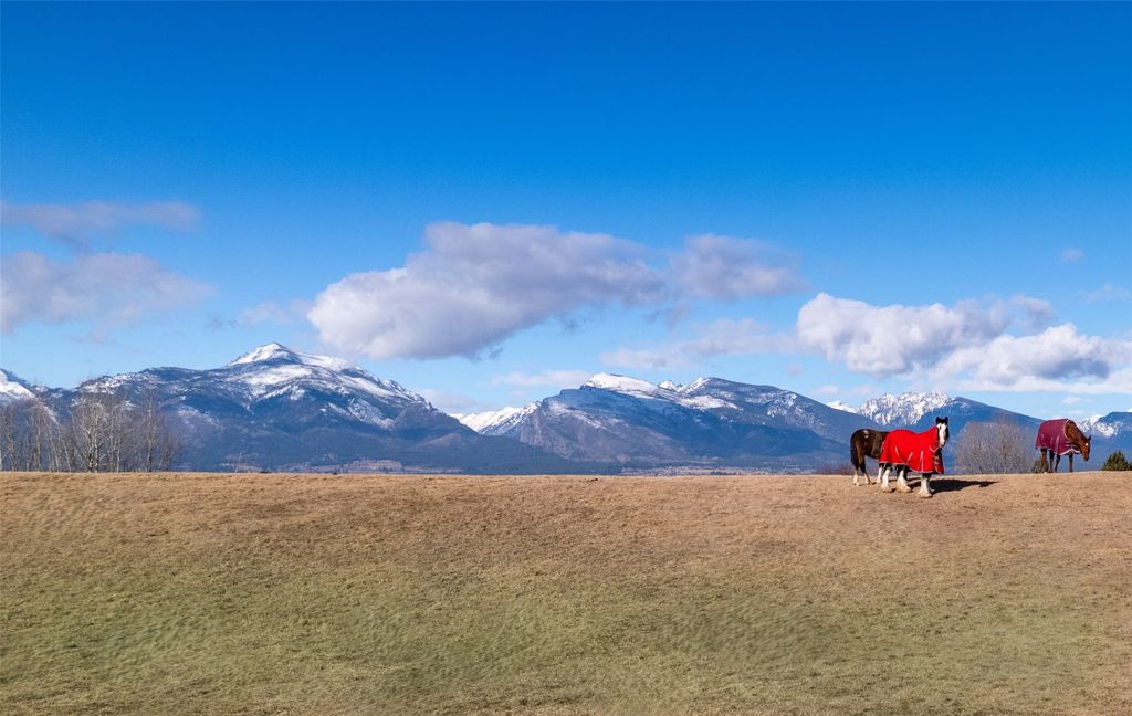 675 Warbler Lane, Corvallis, MT 59828 photo 6