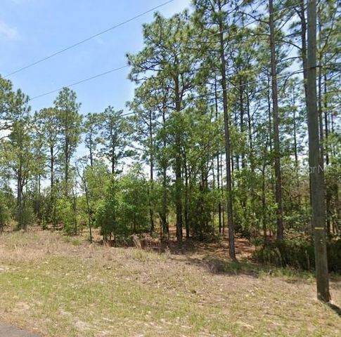 532 W GLENHAVEN DRIVE, Citrus Springs, FL 34434