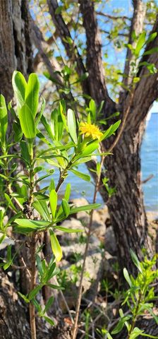 15585 SW 76th Ln A81-8, Miami, FL 33193