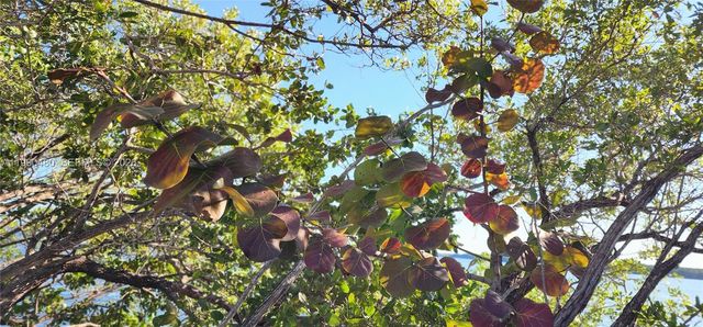 15585 SW 76th Ln A81-8, Miami, FL 33193