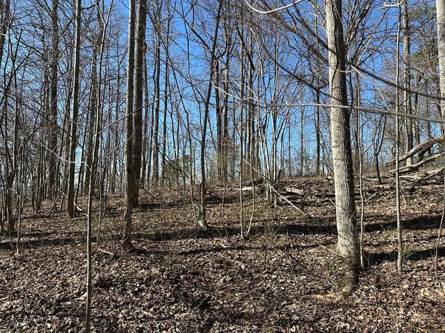 Lot 80 Asheland Cove, Young Harris, GA 30582