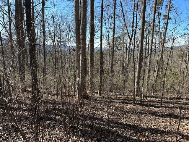 Lot 80 Asheland Cove, Young Harris, GA 30582