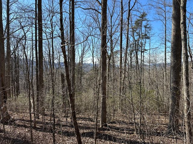 Lot 80 Asheland Cove, Young Harris, GA 30582