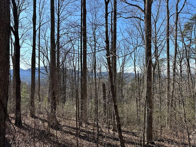 Lot 80 Asheland Cove, Young Harris, GA 30582
