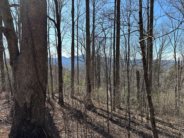 Lot 80 Asheland Cove, Young Harris, GA 30582