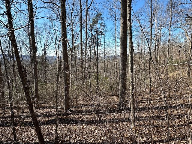 Lot 80 Asheland Cove, Young Harris, GA 30582