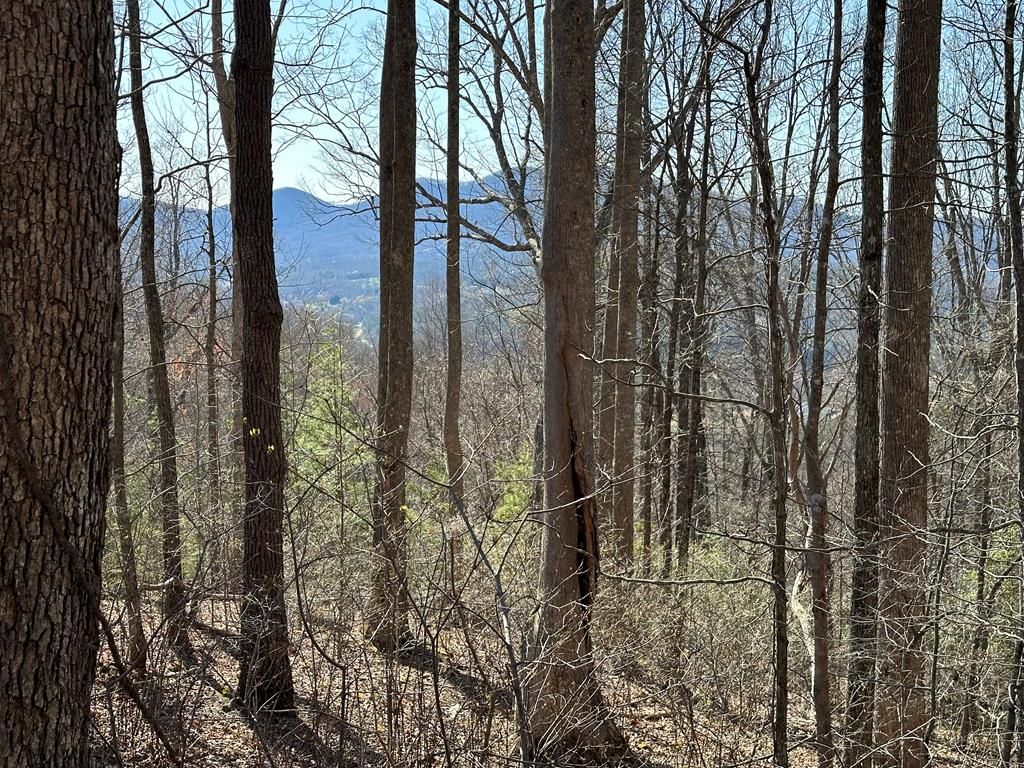 Lot 80 Asheland Cove, Young Harris, GA 30582