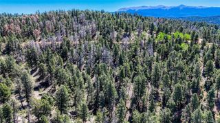 3454 N Mountain Estates Road, Florissant, CO 80816