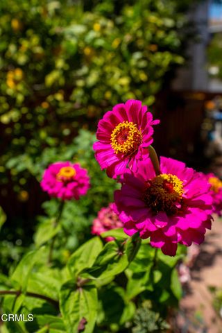 274 Potawatome Street, Ventura, CA 93001