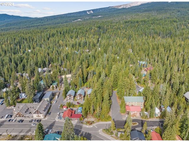 88887 E GOVERNMENT CAMP Loop, Government Camp, OR 97028