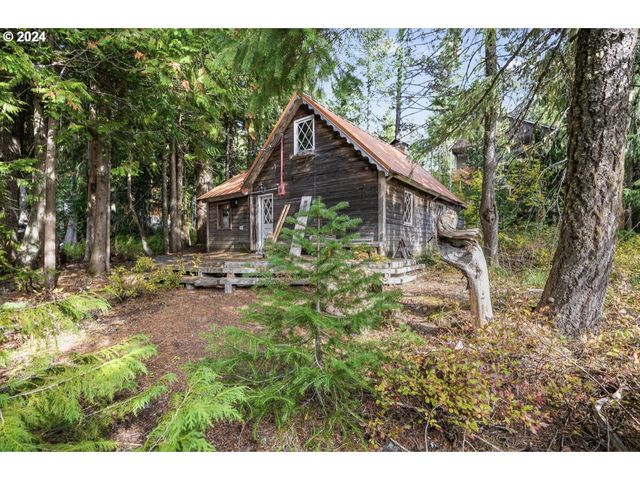 88887 E GOVERNMENT CAMP Loop, Government Camp, OR 97028