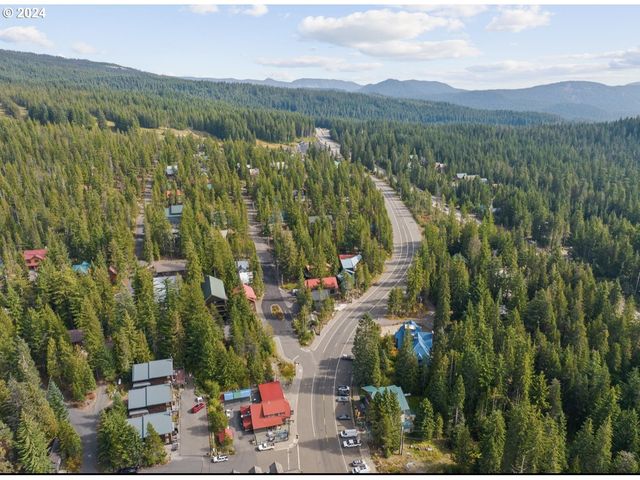 88887 E GOVERNMENT CAMP Loop, Government Camp, OR 97028