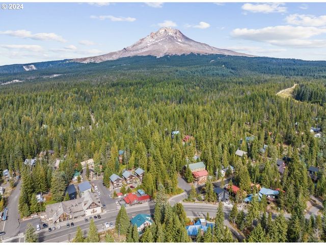 88887 E GOVERNMENT CAMP Loop, Government Camp, OR 97028