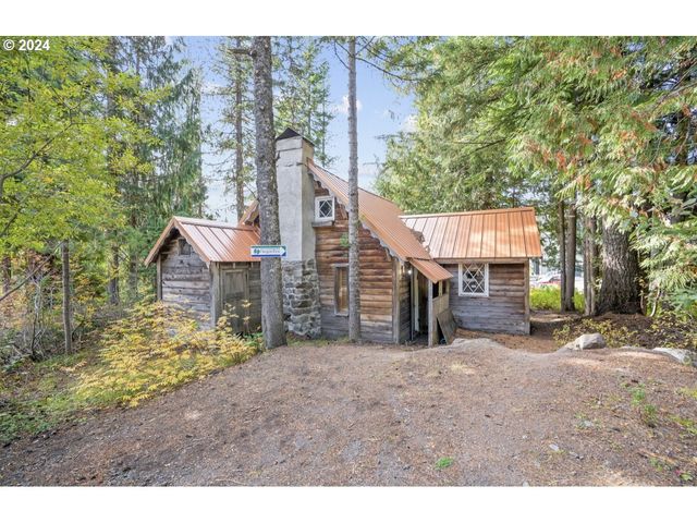 88887 E GOVERNMENT CAMP Loop, Government Camp, OR 97028