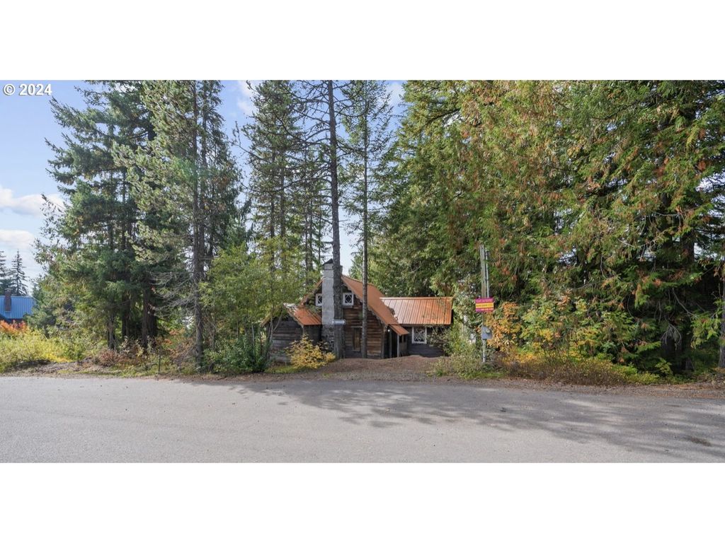 88887 E GOVERNMENT CAMP Loop, Government Camp, OR 97028