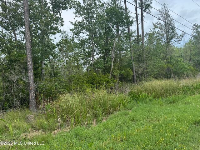 Nsn Lot 24 Piute Drive, Kiln, MS 39556