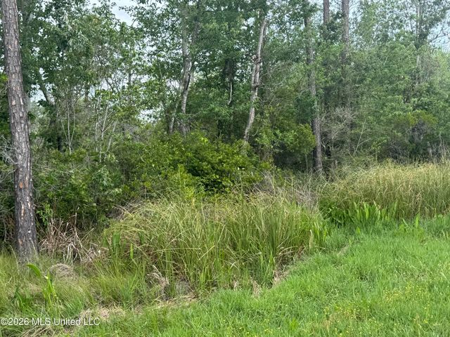 Nsn Lot 24 Piute Drive, Kiln, MS 39556