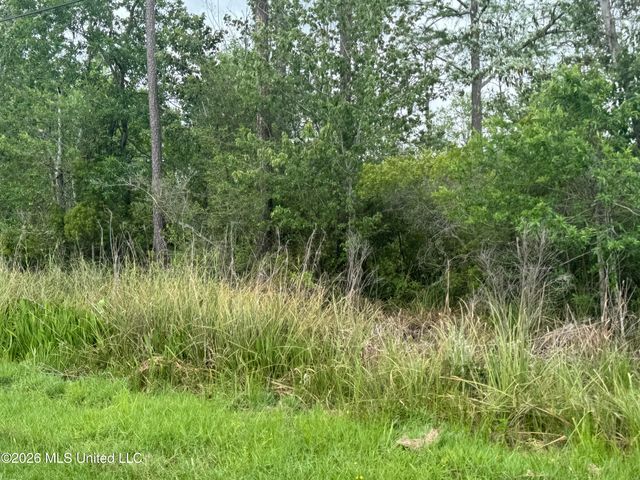 Nsn Lot 24 Piute Drive, Kiln, MS 39556
