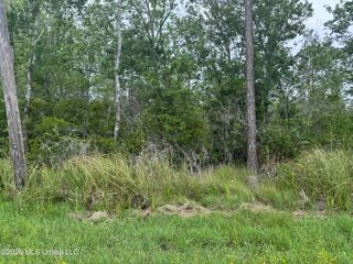 Nsn Lot 24 Piute Drive, Kiln, MS 39556