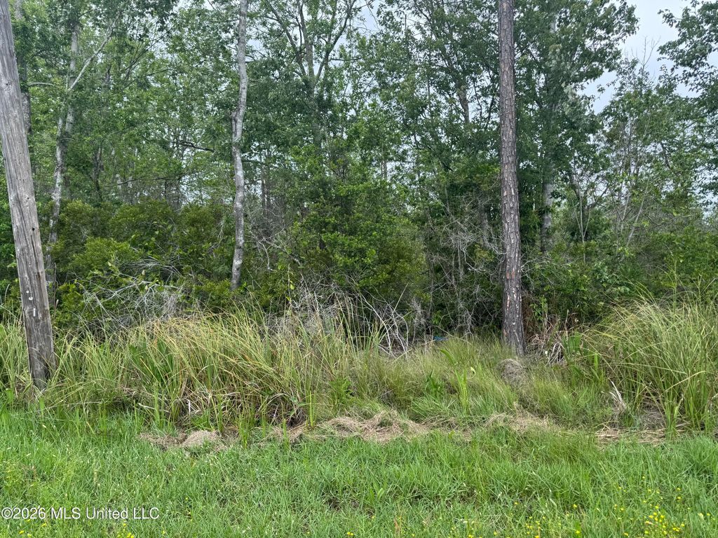 Nsn Lot 24 Piute Drive, Kiln, MS 39556