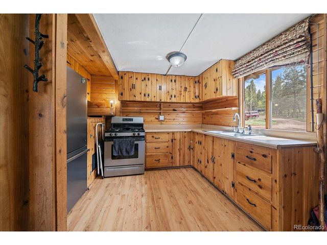 92 Prospectors Way, Bailey, CO 80421