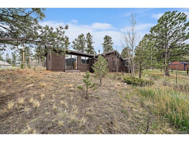 92 Prospectors Way, Bailey, CO 80421