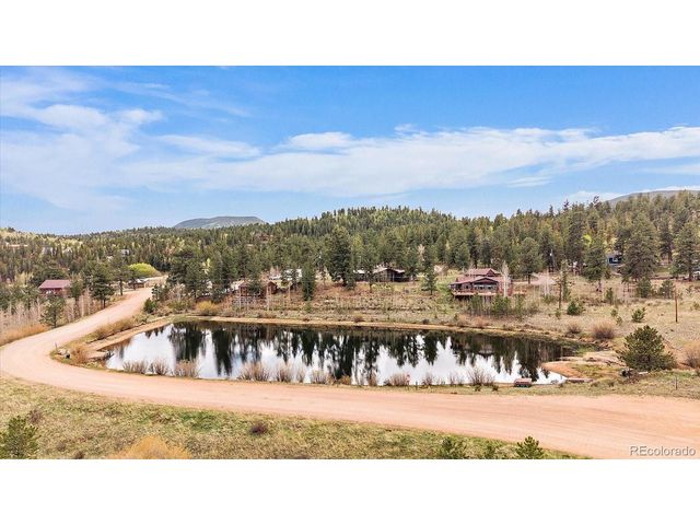 92 Prospectors Way, Bailey, CO 80421