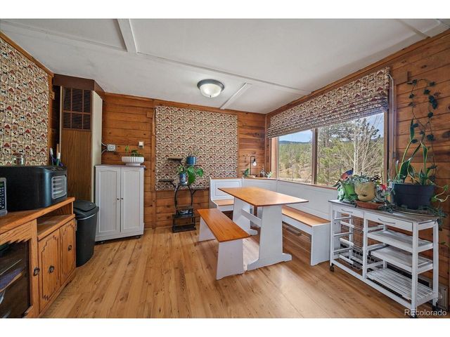 92 Prospectors Way, Bailey, CO 80421