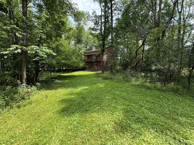 9 Lake Drive, Parksville, NY 12768