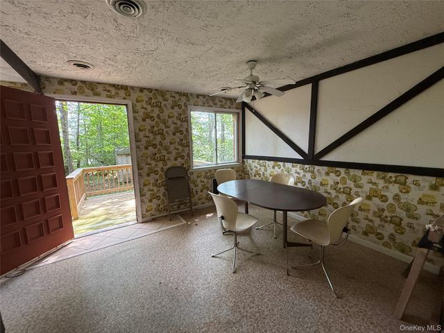 9 Lake Drive, Parksville, NY 12768