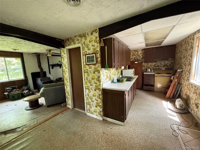 9 Lake Drive, Parksville, NY 12768