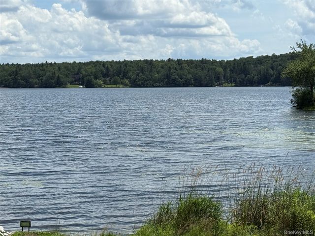 9 Lake Drive, Parksville, NY 12768