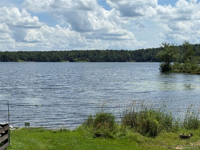 9 Lake Drive, Parksville, NY 12768