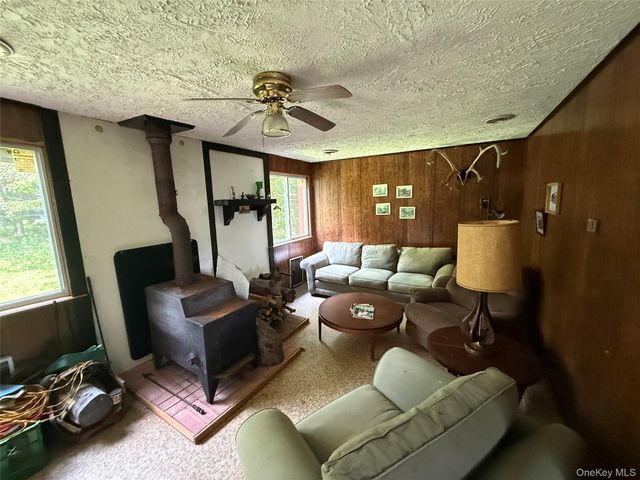 9 Lake Drive, Parksville, NY 12768