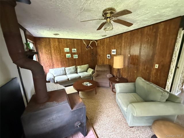 9 Lake Drive, Parksville, NY 12768