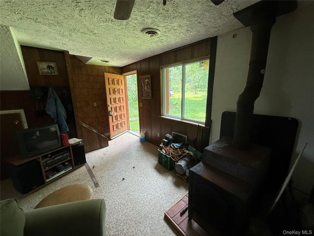 9 Lake Drive, Parksville, NY 12768