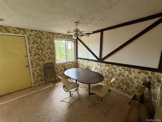 9 Lake Drive, Parksville, NY 12768