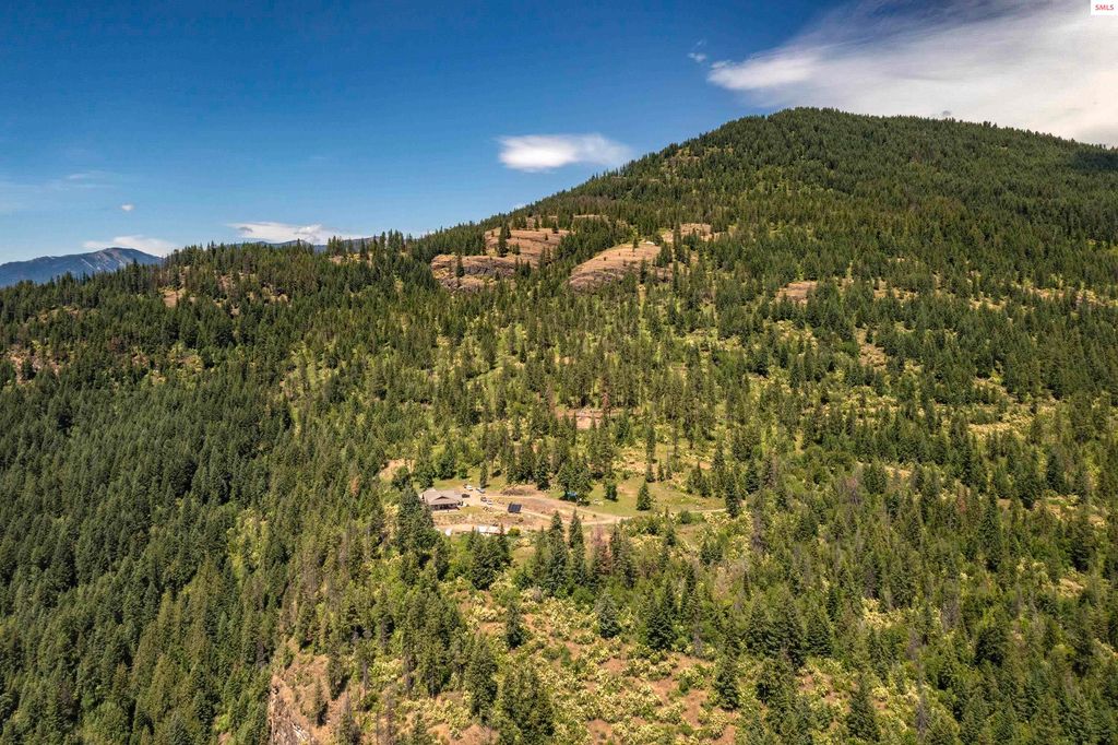 1010 McQuade Gulch, Clark Fork, ID 83811 photo 46