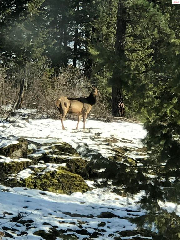 1010 McQuade Gulch, Clark Fork, ID 83811 photo 48