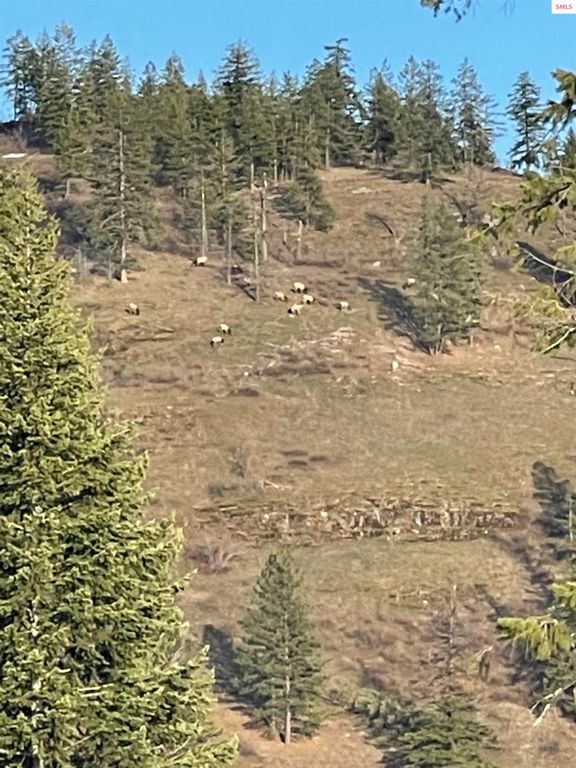 1010 McQuade Gulch, Clark Fork, ID 83811 photo 49