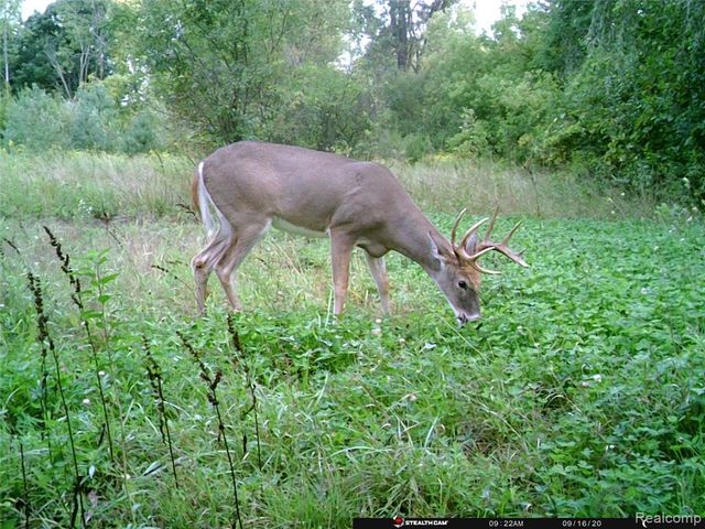 6272 W Court Street, Flint, MI 48532