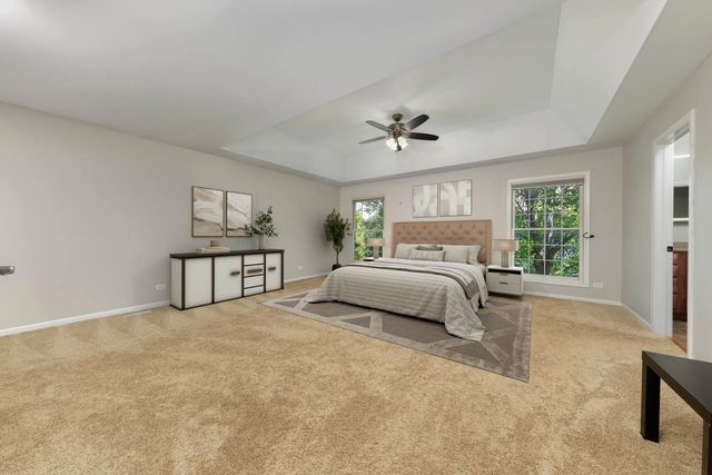26208 W Milestone Drive, Plainfield, IL 60585