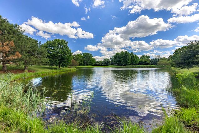 26208 W Milestone Drive, Plainfield, IL 60585