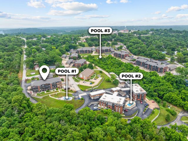 150 Sunken Forest Drive 3-133, Forsyth, MO 65653