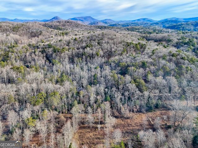 341 Brookwood Lane, Clarkesville, GA 30523