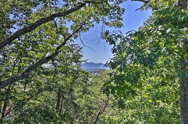 1071 Scenic Hills Road, Pigeon Forge, TN 37863