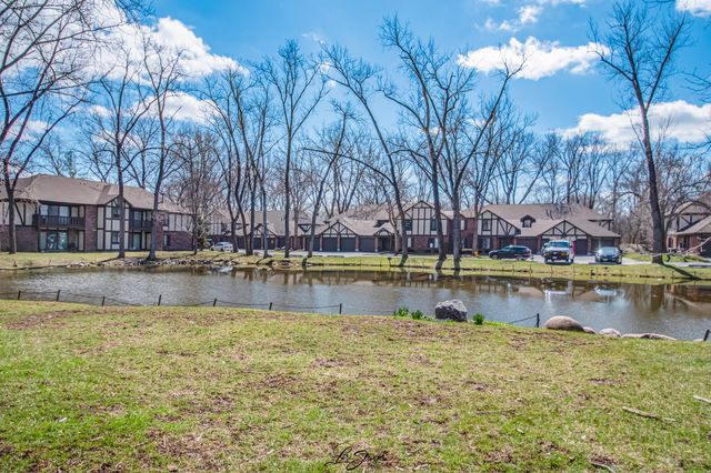 8137 Chestnut Drive C, Palos Hills, IL 60465