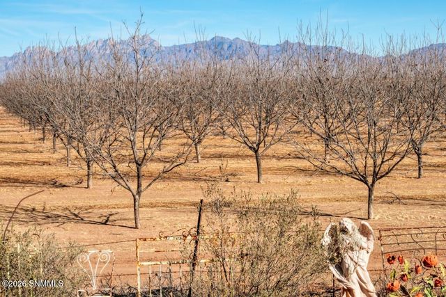 2377 Mesilla Hills Drive, Las Cruces, NM 88005