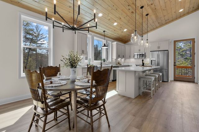 295 Mountain Laurel Ridge, Mineral Bluff, GA 30559