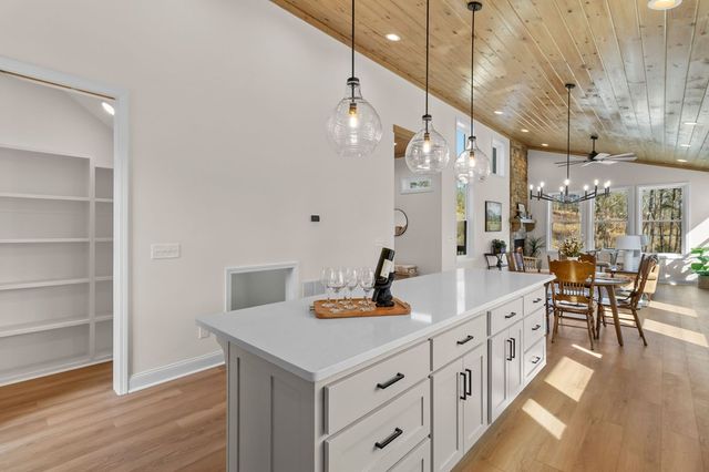 295 Mountain Laurel Ridge, Mineral Bluff, GA 30559